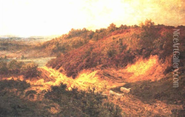 A Gravel Pit Near Ewhurst Surrey Oil Painting - John Clayton Adams