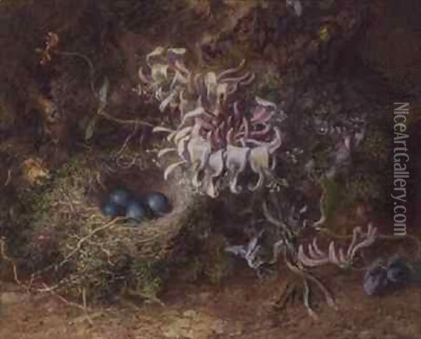 Bird's Nest and Honeysuckle Oil Painting - Jabez Bligh