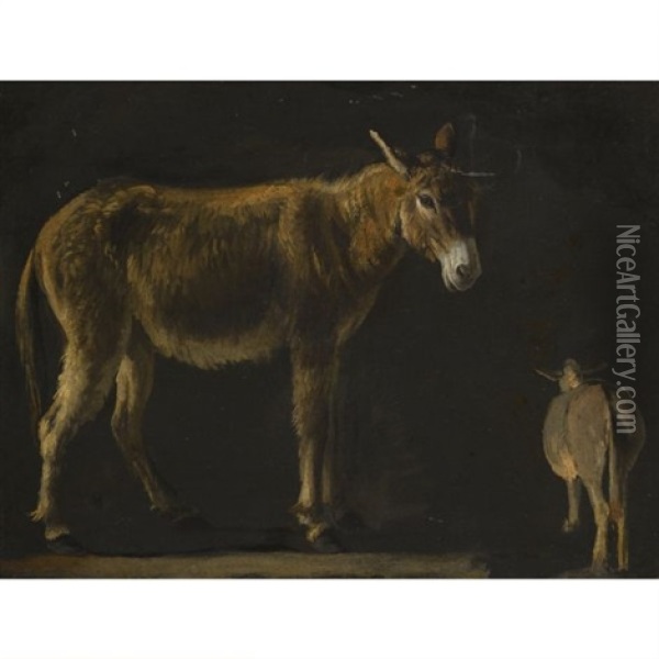 A Donkey (studies) Oil Painting - Michelangelo Cerquozzi