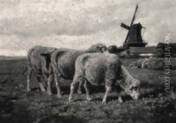 Grazing Sheep, Farm And Windmill In The Distance Oil Painting - Cornelis van Leemputten