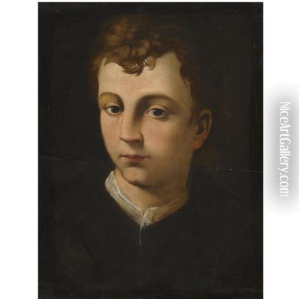 Portrait Of A Boy, Head And Shoulders, Wearing A Black Coat With A White Collar Oil Painting -  Bronzino