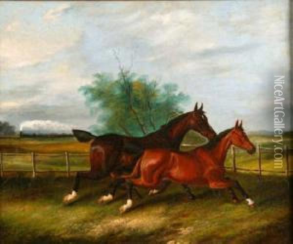 Two Horses Gallopingin A Meadow With Steam Train In Distance Oil Painting - James Senior Clark