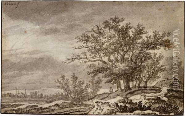 Dune Landscape With A Clump Of Trees And A Cottage Oil Painting - Adriaen Hendricksz. Verboom