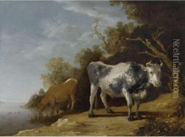 Cattle Standing On A Riverbank Oil Painting - Paulus Potter