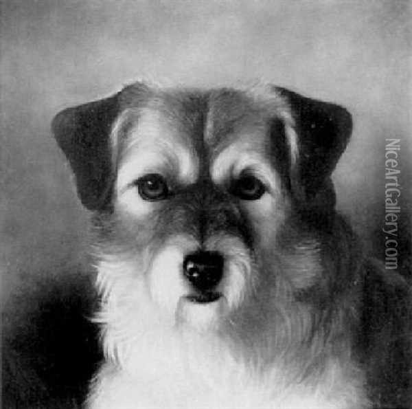 The Head Of A Terrier Oil Painting - Horatio Henry Couldery