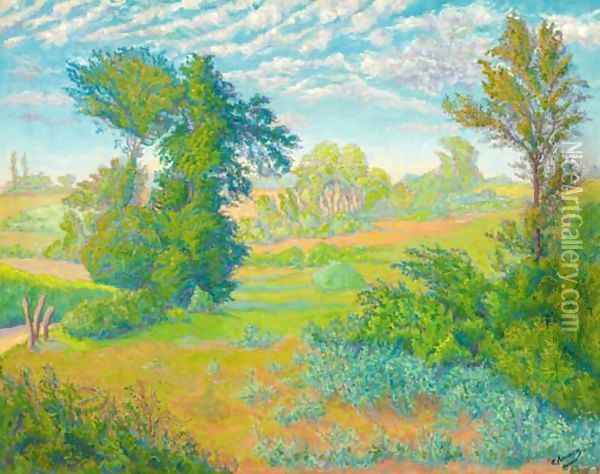 La plaine en ete Oil Painting - Paul-Elie Ranson