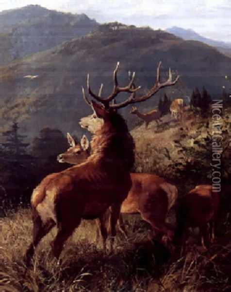 Bjerglandskab Med Kronhjorte Oil Painting - Carl Friedrich Deiker