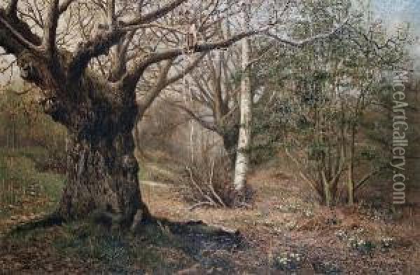 In The Woods At Hayes, Kent Oil Painting - Fred Hines