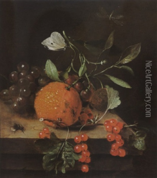 A Sitll Life Of An Orange, Grapes And Red Berries, Together With A White Butterfly, A Dragonfly And A Bee, All On A Wooden Ledge Oil Painting - Martinus Nellius