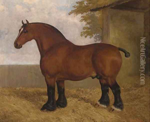 The shire stallion Oil Painting - A. Clark