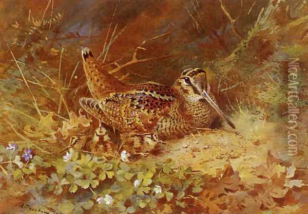 Woodcock and Chicks Oil Painting - Archibald Thorburn
