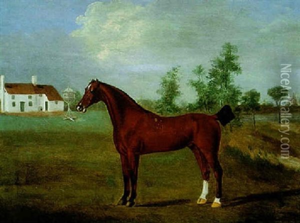 A Bay Hunter In A Landscape Oil Painting - Francis Sartorius the Elder