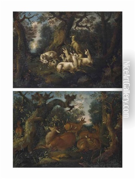 A Wooded Landscape With White Deer; And A Wooded Landscape With A Stag And Deer Oil Painting - Johann Melchior Roos