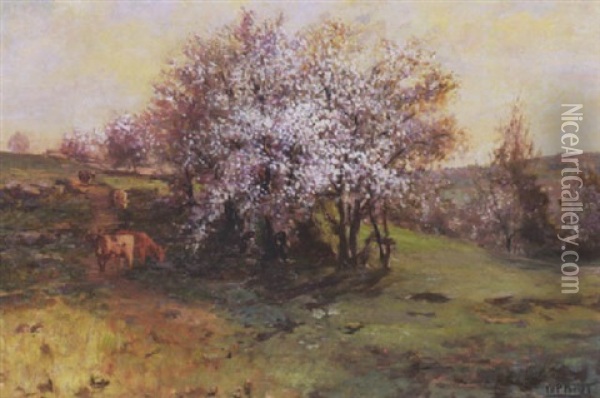 A Cardinal Amongst The Blossoms Oil Painting - William Preston Phelps
