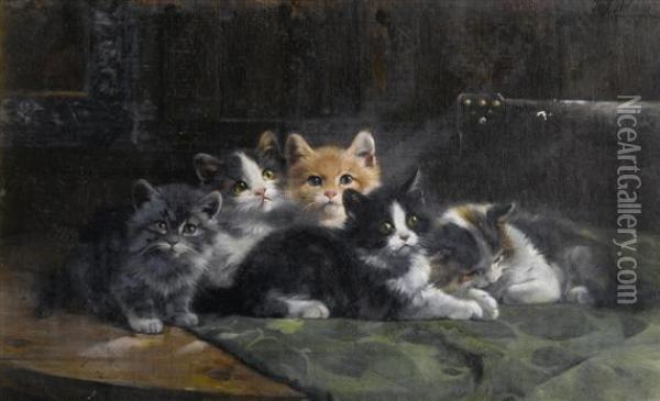 Five Kittens Oil Painting - Julius Adam