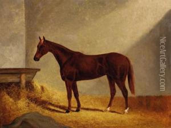 Horse In A Stable Oil Painting - Frederick, Woodhouse Jr.