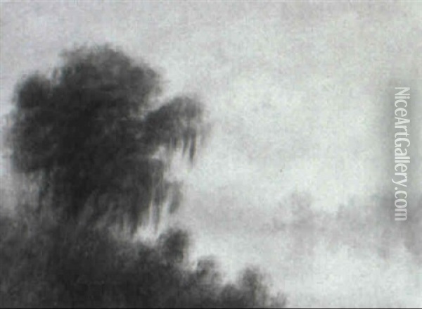 Bayou Peninsula With Cypress Oil Painting - Alexander John Drysdale
