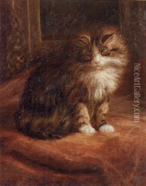 Sleepy Tabby Oil Painting - Franklin Whiting Rogers