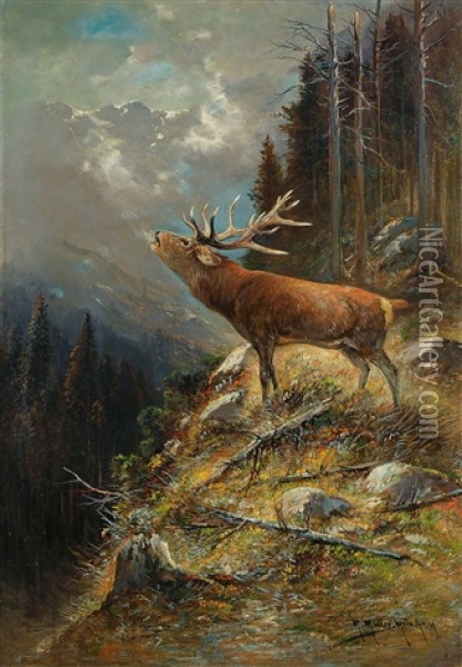 Rohrender Hirsch Im Hochgebirge Oil Painting - Moritz Mueller the Elder