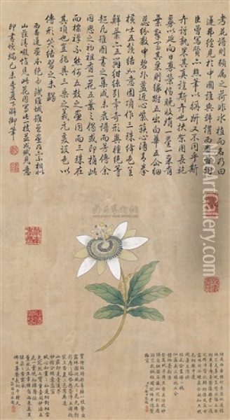 Flowers Oil Painting -  Emperor Qianlong