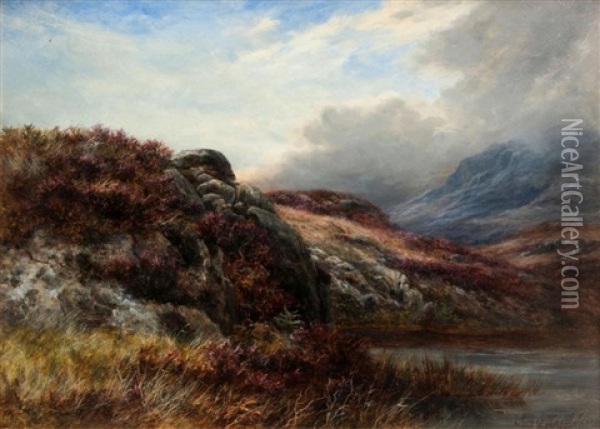 On Quiet Hillside Where The Heather Grows Near Galloway, Kirkcudbrightshire Oil Painting - James Faed the Younger