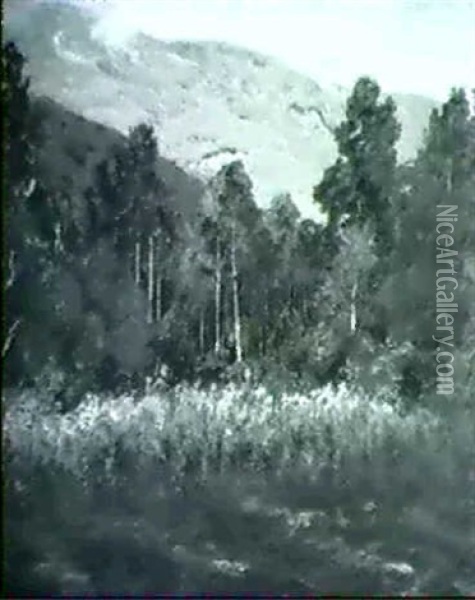 Wooded Landscape  Marsh Oil Painting - Ben Foster