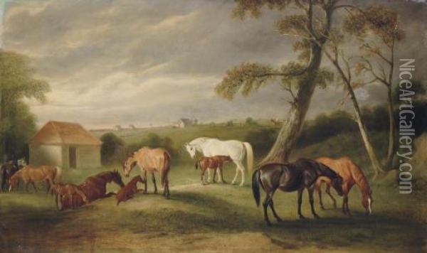 Mares And Foals In An Extensive Landscape Oil Painting - John Snr Ferneley