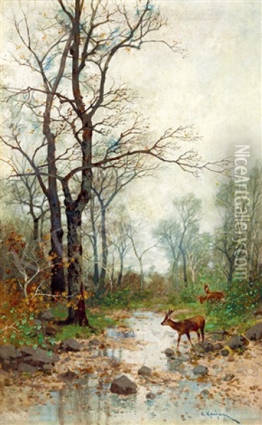 Brookside In Autumn Oil Painting - Adolf Kaufmann