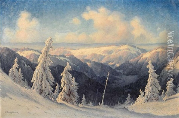 Sonniger Wintertag Im Schwarzwald Oil Painting - Karl Hauptmann