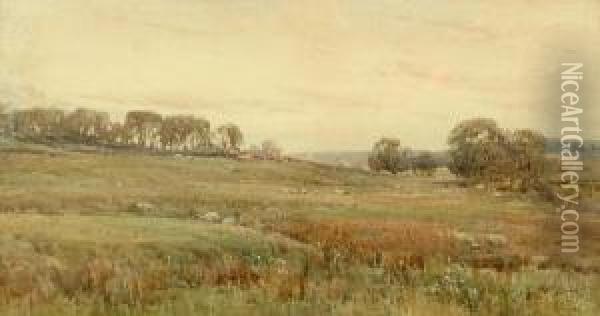 Sheep In An Open Landscape Oil Painting - Arthur Reginald Smith