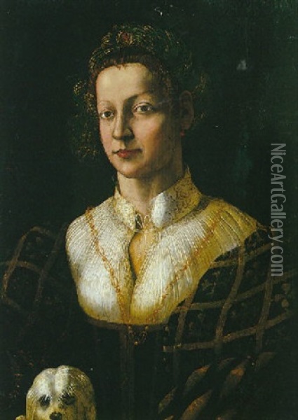 Portrait De Jeune Femme Avec Son Petit Chien Oil Painting -  Romanino (Girolamo Romani)