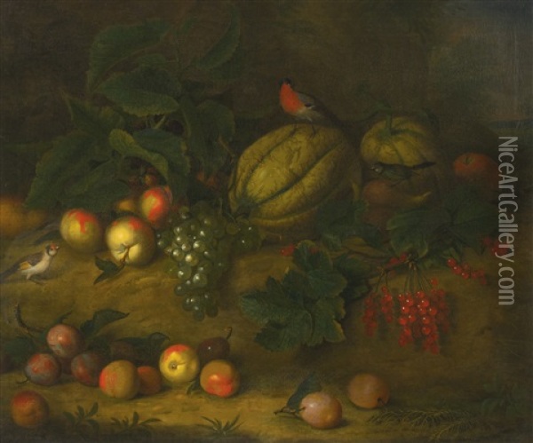 Still Life With Plums, Grapes, A Melon And Songbirds Oil Painting - Jakob Bogdani