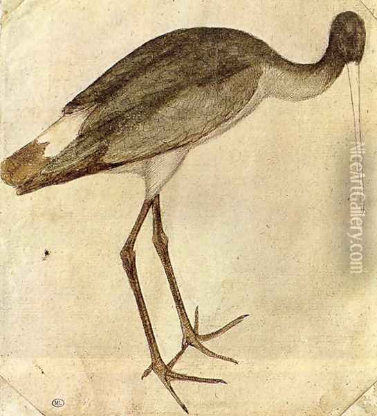 Stork 1430s Oil Painting - Antonio Pisano (Pisanello)