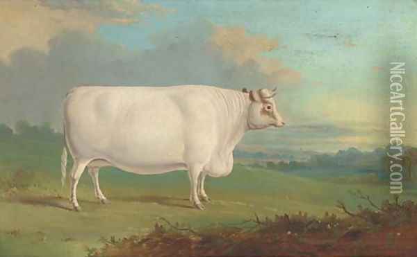A cow in an extensive landscape Oil Painting - English Provincial School