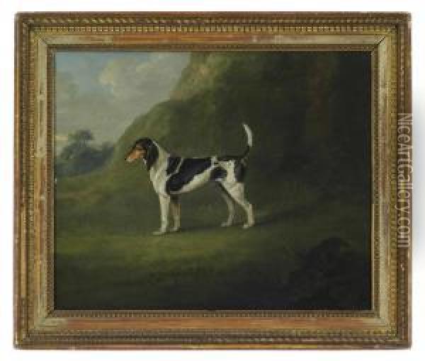 A Foxhound In A Landscape Oil Painting - J. Francis Sartorius