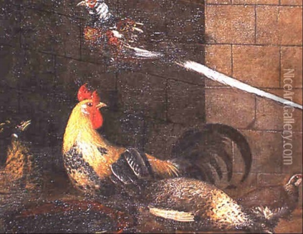 Coq, Poules Et Pigeons Dans Un Poulailler Oil Painting - David de Coninck