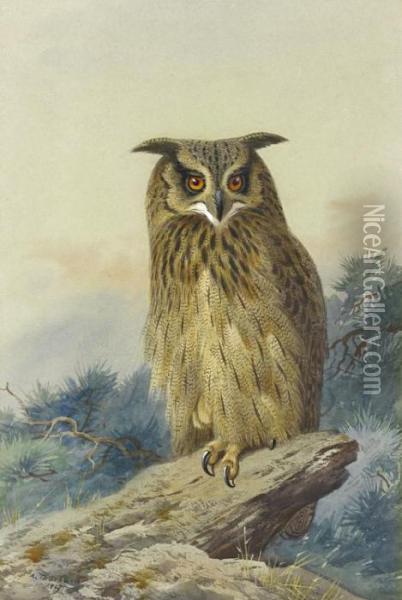 Eagle Owl Oil Painting - Archibald Thorburn