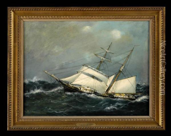 Schooner At Half Mast Oil Painting - William Pierce Stubbs