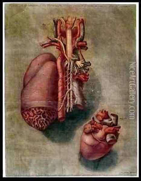 The Heart Oil Painting - Arnauld Eloi Gautier DAgoty
