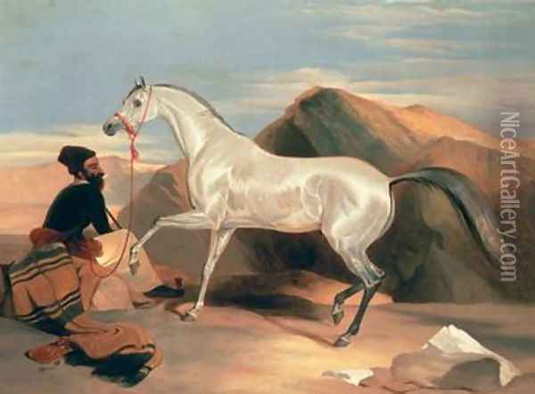 Arab Stallion Oil Painting - Sir Edwin Henry Landseer