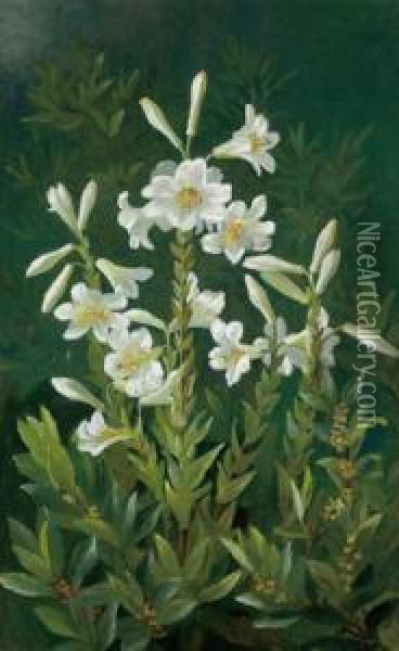 D Lillies Oil Painting - Anthonie, Anthonore Christensen