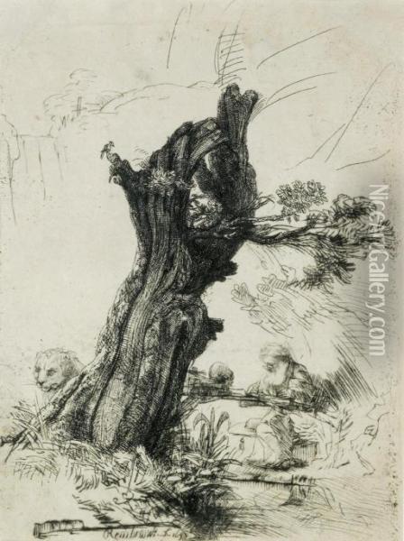 Saint Jerome Beside A Pollard Willow (b., Holl. 103; H. 232) Oil Painting - Rembrandt Van Rijn