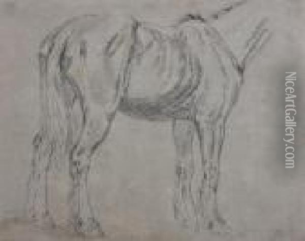 Study Of A Cart Horse Oil Painting - James Ward