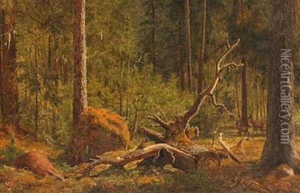 Forest Scene From The Deer Park North Of Copenhagen Oil Painting - Carl Henrik Bogh