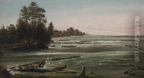 Rapids On The Niagara River Oil Painting - Ferdinand Richardt