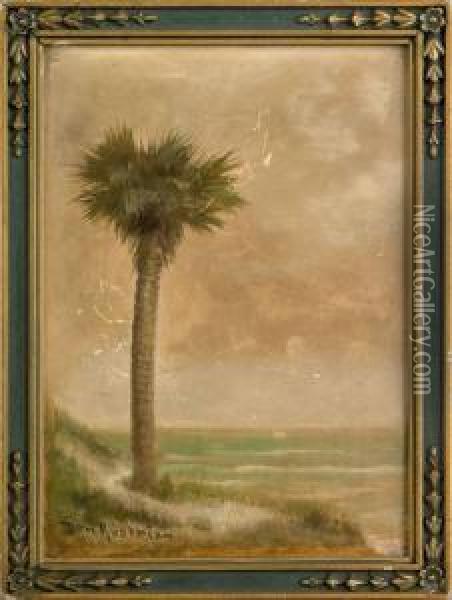 Florida Landscape Oil Painting - Ben Austrian