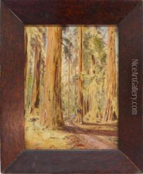 Path Through Redwoods Oil Painting - Cora Bernice Wright