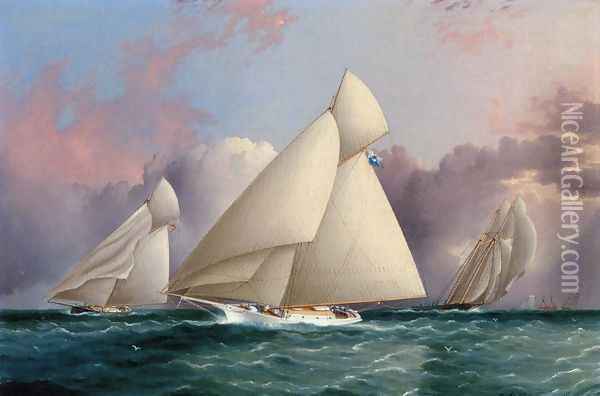 Yacht 'Sappho' Beating to the Wind Oil Painting - James E. Buttersworth