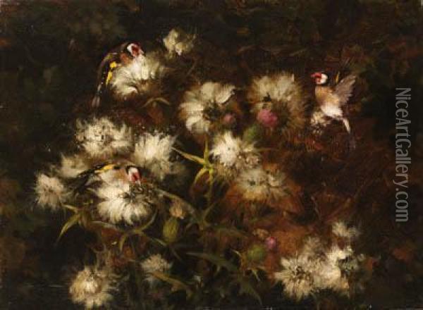 Goldfinches On Thistledown Oil Painting - Andrew Allan