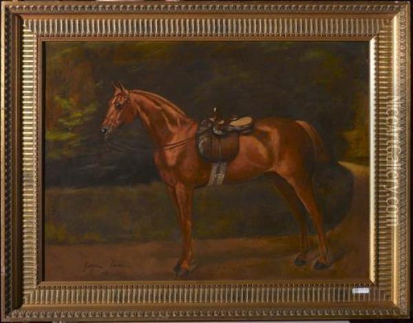 Cavallo Sellato. 1881. Oil Painting - George Paice